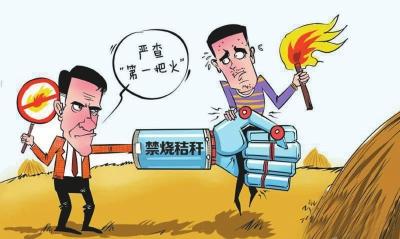 守护“宜都蓝”！秸秆禁烧再发力