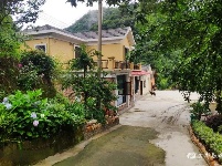 【美丽庭院】众里寻“她”千百度，风景这边独好