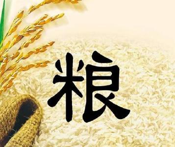 确保粮食安全，习近平把这几大问题谈透了
