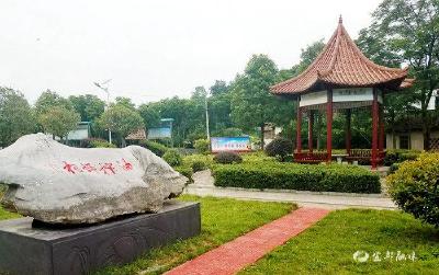 【三峡日报】“沼泽地”聚宝 “七彩花”兴村 ——看宜都市姚家店镇油榨坪村如何实现三年蝶变