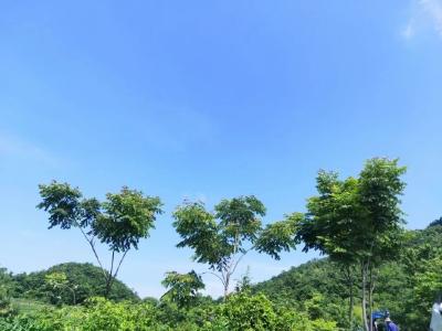 白风垭变美了