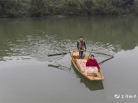 柑橘品改，让宜都“爱媛”香飘四方