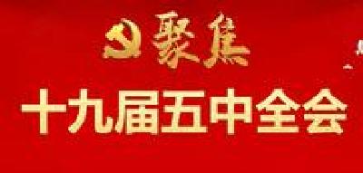 五中全会精神在基层 | 市委组织部专题学习十九届五中全会精神