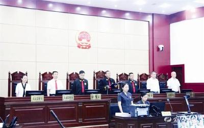 【扫黑除恶进行时】市人民法院：利剑斩黑恶 法槌守正义