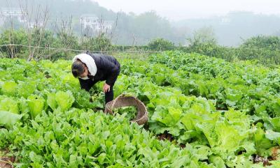 【文明宜都】孝老爱亲 她被评为11月“宜昌好人”