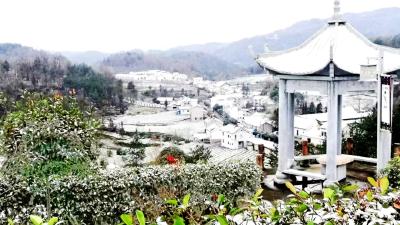 围观！宜都加入下雪“群聊”
