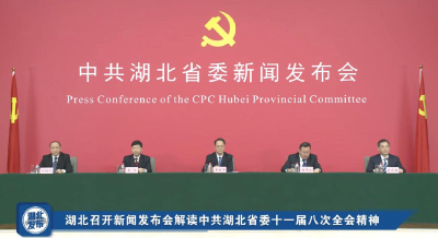重磅！解读中共湖北省委十一届八次全会精神