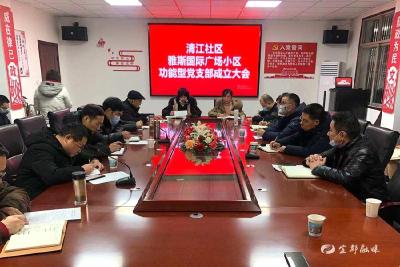 清江社区首个功能型党支部成立