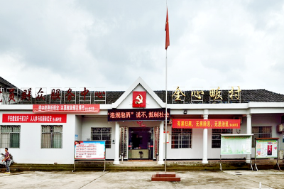 【两江党旗红•走进磁铁支部】全心畈村：抓党建 强产业 促振兴