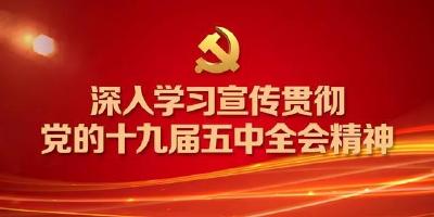 学习贯彻党的十九届五中全会精神 | 请进来 走出去 以“党建红”点亮“税务蓝”