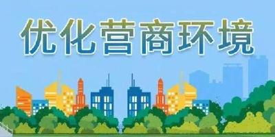 我为营商环境做了什么？