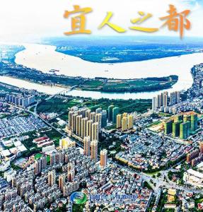 争当县域经济发展“领头羊”