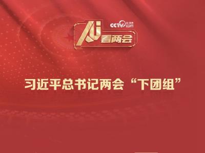 AI看两会 | 8年46次“下团组” 总书记都说了哪些高频词？