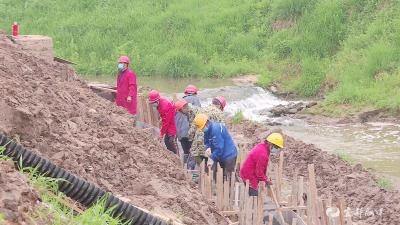 红花套镇申家溪污水管网改造施工加速推进