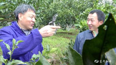 杨承清：退休不褪色 最爱“桔子红”