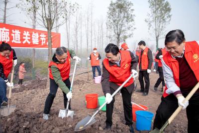 巩固国家森林城市创建成果 打造长江绿色生态廊道关键节点