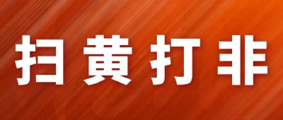 湖北：召开2020年全省“扫黄打非”工作电视电话会议