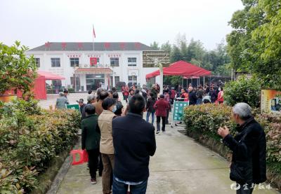 枝城镇：构筑坚固屏障 为疫苗接种“护航”