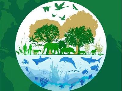 严防外来物种非法入侵—— 织牢国家生物安全防护网（共建地球生命共同体）