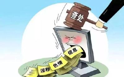 2020年“扫黄打非”十大数据