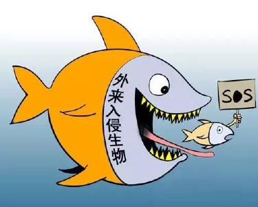 严防外来物种非法入侵——织牢国家生物安全防护网（共建地球生命共同体）
