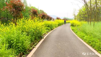 九道河村：健康绿道串连八大产业促进农旅融合