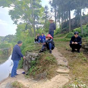 学党史 悟思想 办实事 开新局 | 彭家桥村：干群合力“水中夺粮”