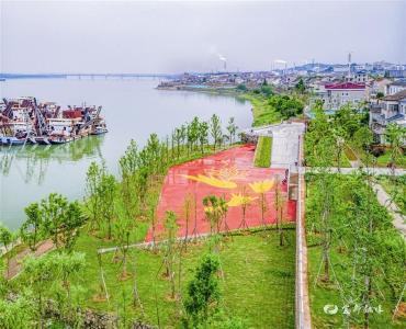 创新模式 水清岸绿业兴——枝城镇长江岸线整治修复纪实