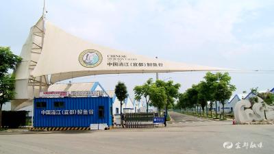 国家特色淡水鱼产业技术体系岗位科学家工作站进驻清江鲟鱼谷