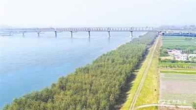 【三峡日报】两岸青山相对出 绿色画笔绘新颜