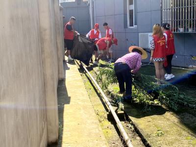 【文明宜都】东风社区助力文明城市巩固提升