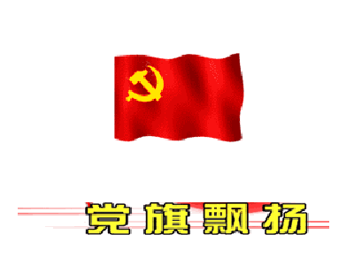 “两江”党旗分外红