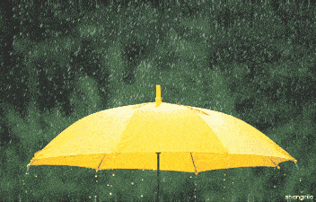 8月11-13日，我市将有较强降水天气