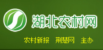 【湖北农村网】直播卖货已成新农活 ——农广校校长热议农民网销技能培育