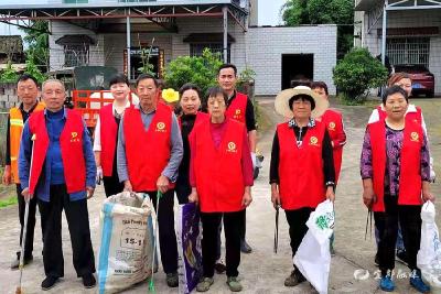 陈家岗村：“小机制”推动“大整治”