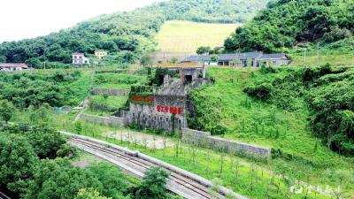 松宜矿区：废弃矿山“披绿”变果园