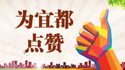 宜都17家企业上榜！
