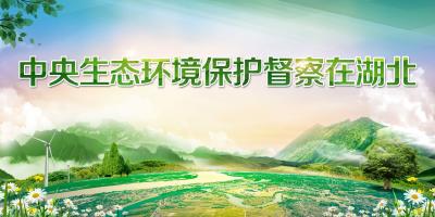 湖北省委书记应勇接受中环报记者专访：坚决扛起生态大省的政治责任 加快建设美丽湖北实现绿色崛起