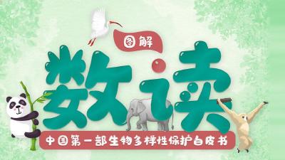 COP15来了！中国首发新领域白皮书 惊喜多看点足