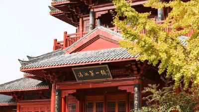 寒潮来袭，秋色渐浓！本周最低气温4℃！