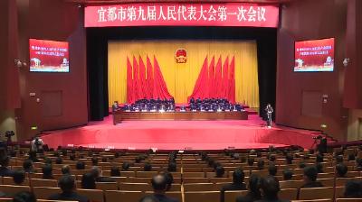 向宪法，庄严宣誓！