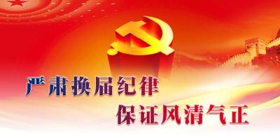 枝城镇：“三到位”打好换届风气监督“组合拳”