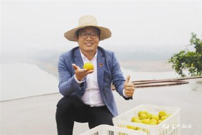【宜昌楷模】“助农先锋”郑俊：打造柑橘4.0时代