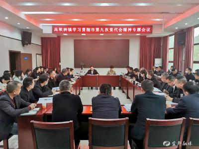 【贯彻落实党代会精神】高坝洲镇：凝心聚力谋发展 担当实干续新篇