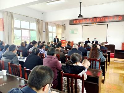 选好“领头雁”，配强“新班子”！宜都市顺利完成村（社区）党组织换届选举工作