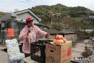 【湖北日报】养猪大户卖苹果