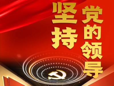 跟着总书记领悟党的宝贵经验——坚持党的领导