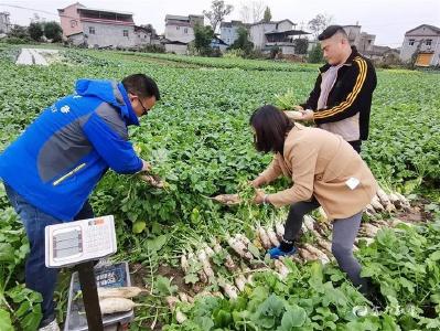【三峡商报】助力乡村振兴 履行社会责任 减少面源污染 推进绿色种植