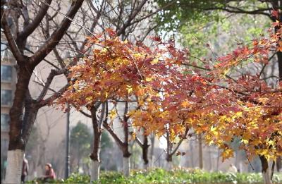 小区是我家，文明靠大家