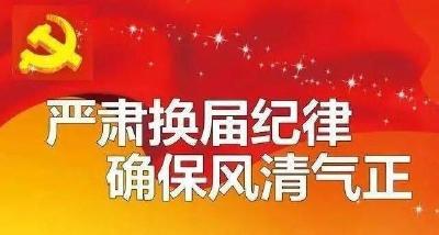 枝城镇打好换届风气监督“组合拳”